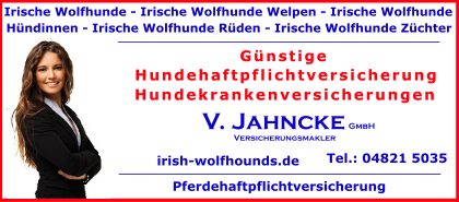 Irische-Wolfhunde-Welpen