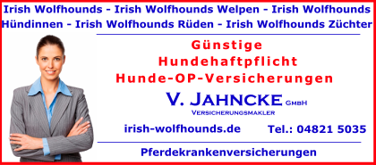 Irish-Wolfhounds-Welpen